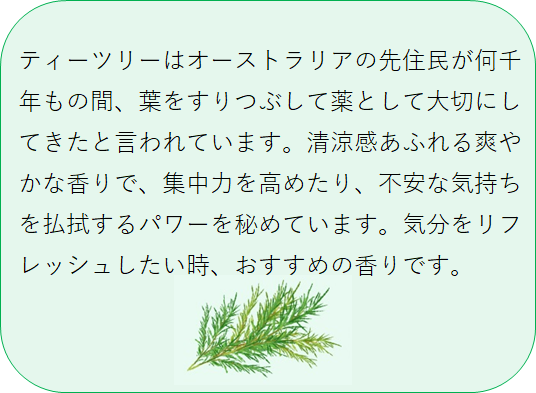 ティーツリーの特徴